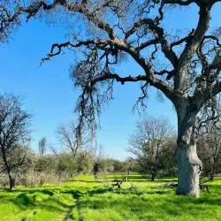 Del Paso Regional Park - Arden-Arcade