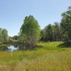 Del Paso Regional Park - Arden-Arcade