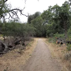 Del Paso Regional Park - Arden-Arcade