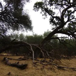 Del Paso Regional Park - Arden-Arcade