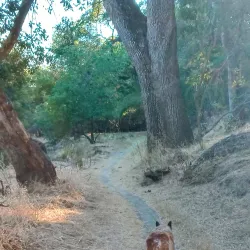 Del Paso Regional Park - Arden-Arcade