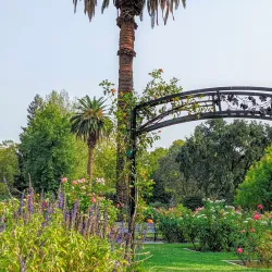 McKinley Park - Arden-Arcade