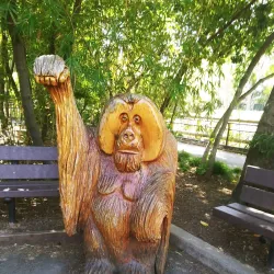 Sacramento Zoo - Arden-Arcade