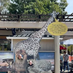Sacramento Zoo - Arden-Arcade