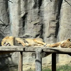 William Land Park - Arden-Arcade