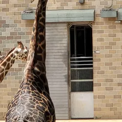 William Land Park - Arden-Arcade