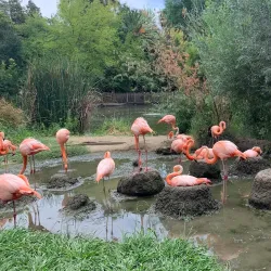 William Land Park - Arden-Arcade