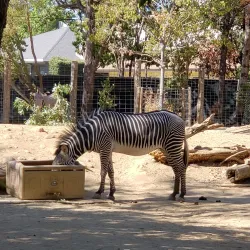 William Land Park - Arden-Arcade