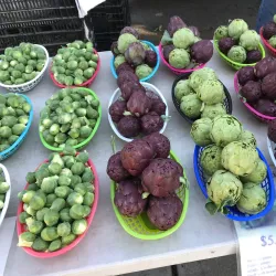 Atascadero Farmers Market - Atascadero