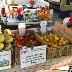 Atascadero Farmers Market - Atascadero