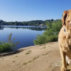 Atascadero Lake Park - Atascadero