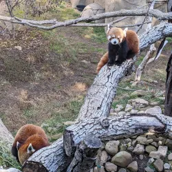 Charles Paddock Zoo - Atascadero