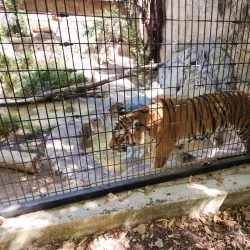 Charles Paddock Zoo - Atascadero