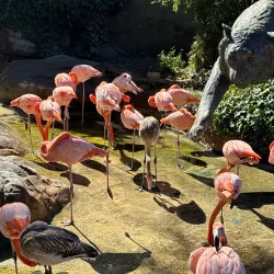 Charles Paddock Zoo - Atascadero