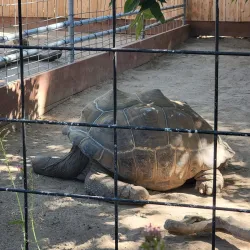 Charles Paddock Zoo - Atascadero