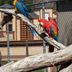 Charles Paddock Zoo - Atascadero
