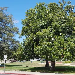 Mitchell Park - Atascadero