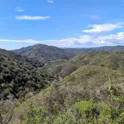 Wild Cherry Trail - Atascadero