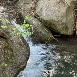 Wild Cherry Trail - Atascadero