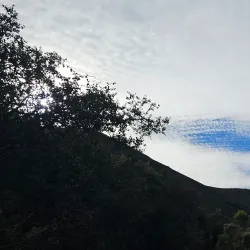 Wild Cherry Trail - Atascadero