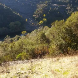 Auburn State Recreation Area - Auburn