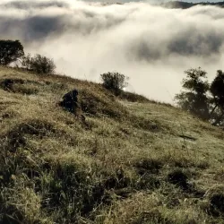 Foresthill Bridge - Auburn