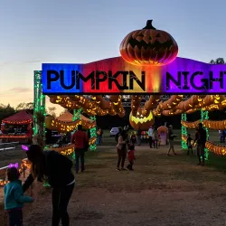 Gold Country Fairgrounds - Auburn