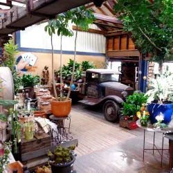 High Hand Nursery and Gardens - Auburn