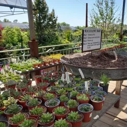 High Hand Nursery and Gardens - Auburn