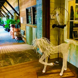 High Hand Nursery and Gardens - Auburn