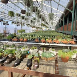 High Hand Nursery and Gardens - Auburn