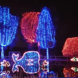 California Area Living Museum (CALM) - Bakersfield