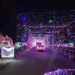 California Area Living Museum (CALM) - Bakersfield