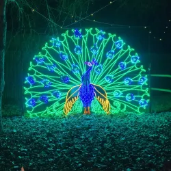 California Area Living Museum (CALM) - Bakersfield