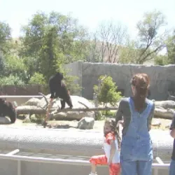 California Living Museum (CALM) - Bakersfield