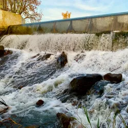Hart Memorial Park - Bakersfield