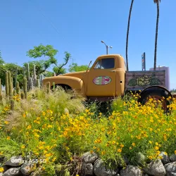 Murray Family Farms - Bakersfield