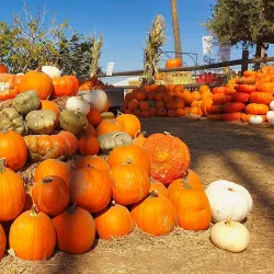 Murray Family Farms - Bakersfield