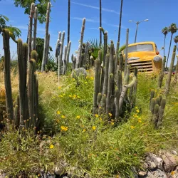 Murray Family Farms - Bakersfield