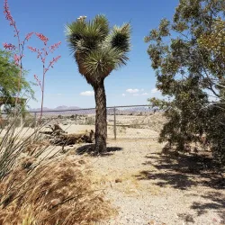Desert Discovery Center - Barstow