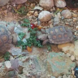 Desert Discovery Center - Barstow