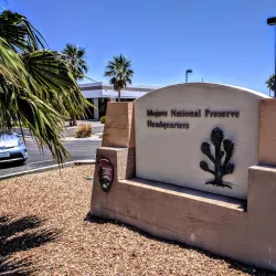 Mojave National Preserve - Barstow
