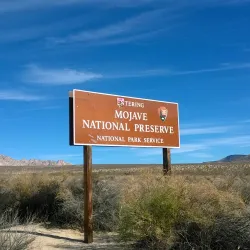 Mojave National Preserve - Barstow