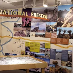 Mojave National Preserve - Barstow