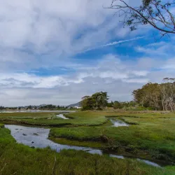 Baywood Park Beach - Baywood-Los Osos
