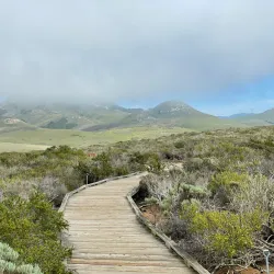 Elfin Forest Natural Area - Baywood-Los Osos