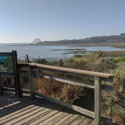 Elfin Forest Natural Area - Baywood-Los Osos