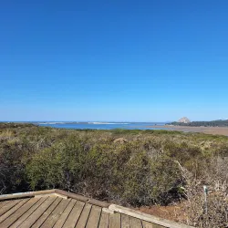 Elfin Forest Natural Area - Baywood-Los Osos