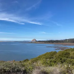 Elfin Forest Natural Area - Baywood-Los Osos