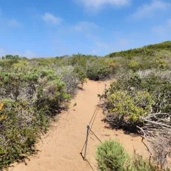 Elfin Forest Natural Area - Baywood-Los Osos